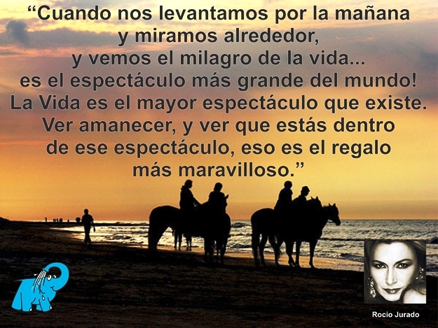 Una Enseñanza de Rocío Jurado en la Frase del Día del Elefante Azul de Avilés